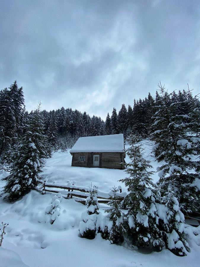 Hotel Syniy Vyr Siněvir Exteriér fotografie