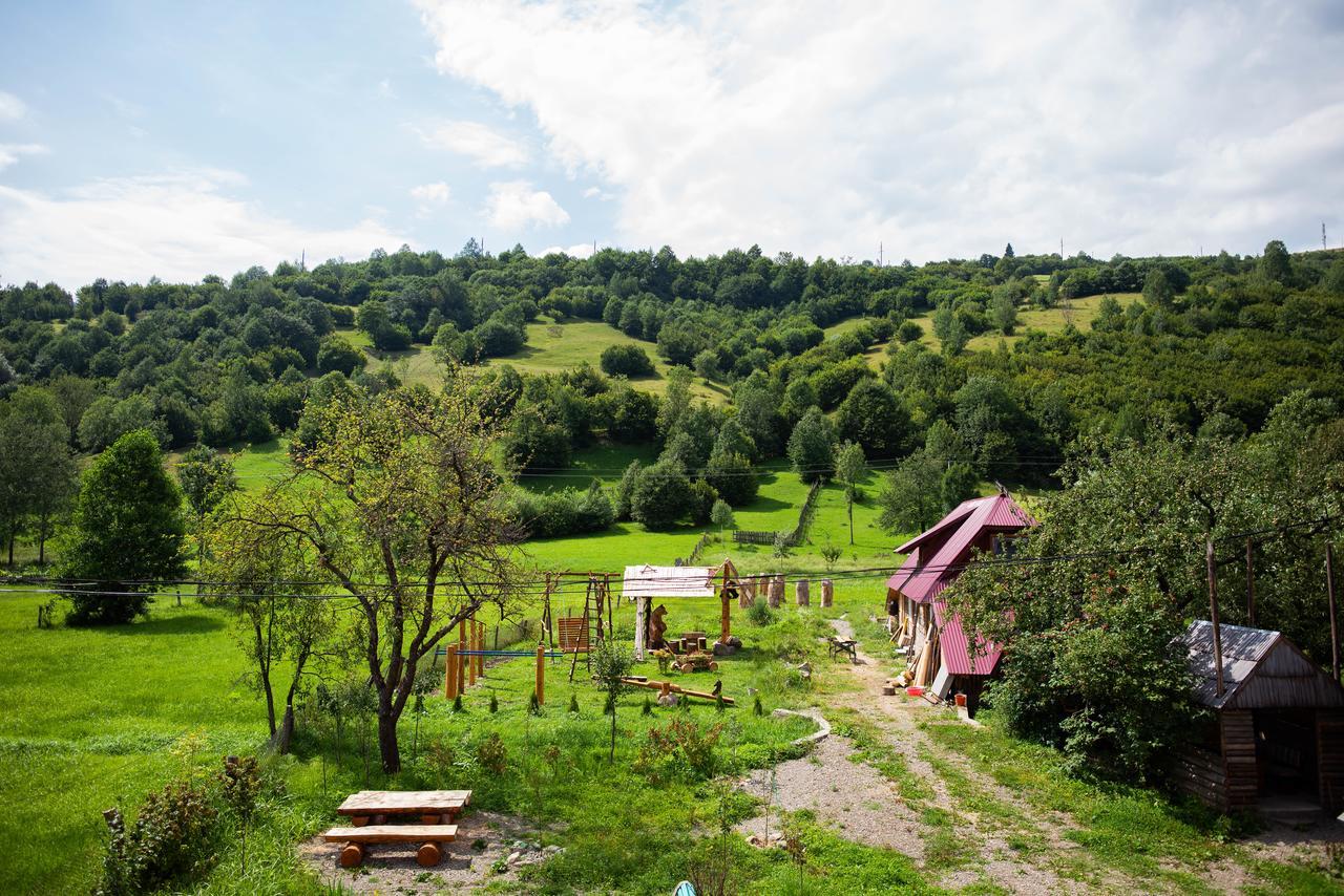 Hotel Syniy Vyr Siněvir Exteriér fotografie