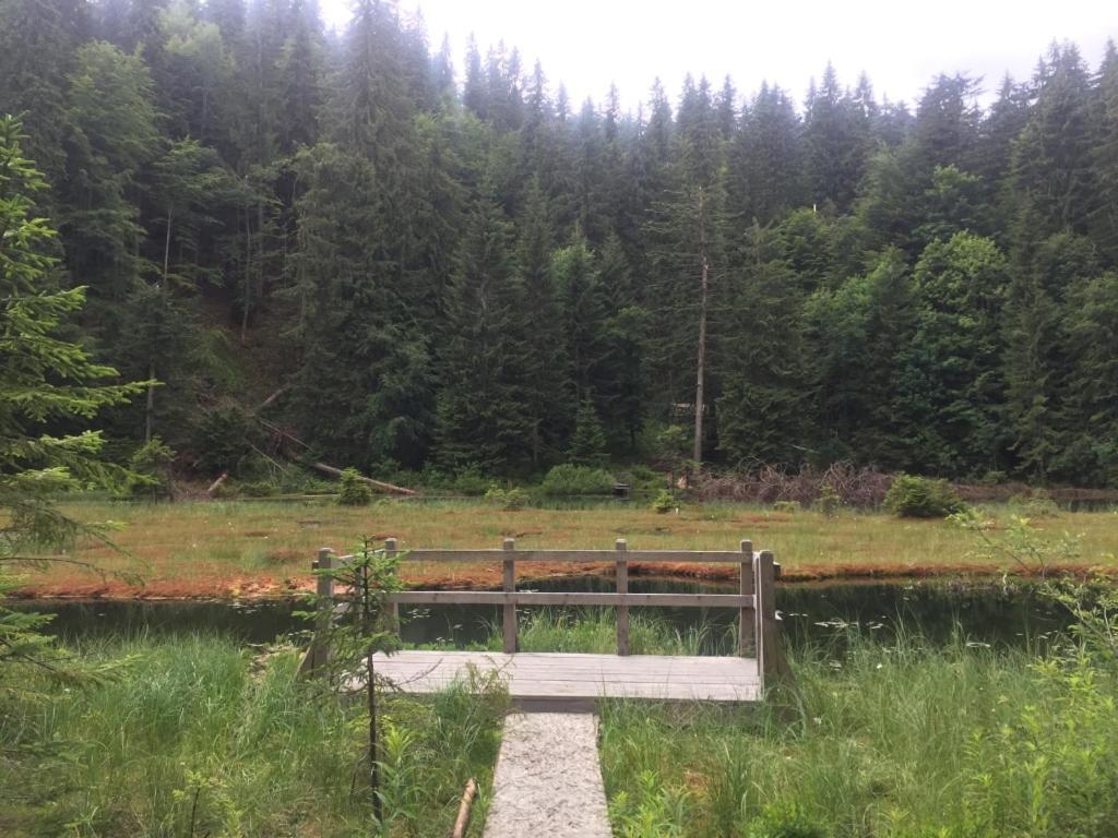 Hotel Syniy Vyr Siněvir Exteriér fotografie