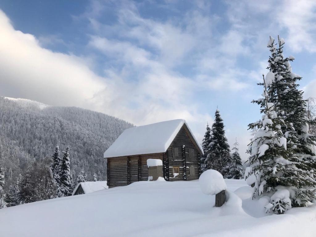 Hotel Syniy Vyr Siněvir Exteriér fotografie