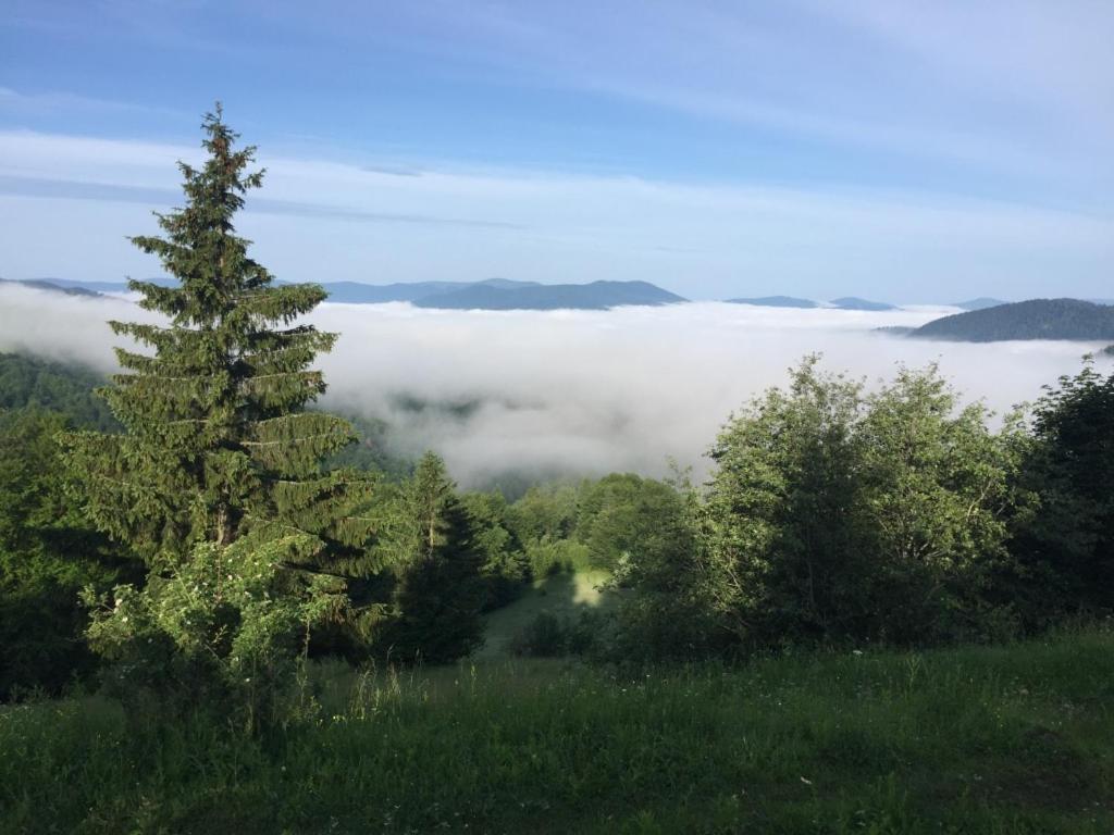 Hotel Syniy Vyr Siněvir Exteriér fotografie